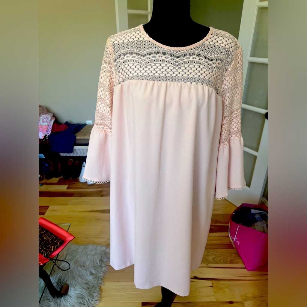 Nanette Lepore Blush Dress Lace Arms Size 12 Nwot